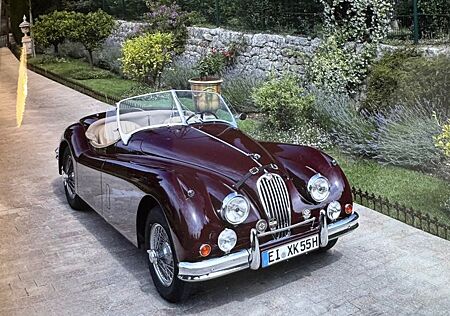 Jaguar XK 140 S Roadster Type C