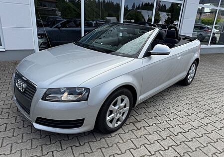 Audi A3 Cabrio Attraction 2.0 TDI Leder/SHZ/TÜV