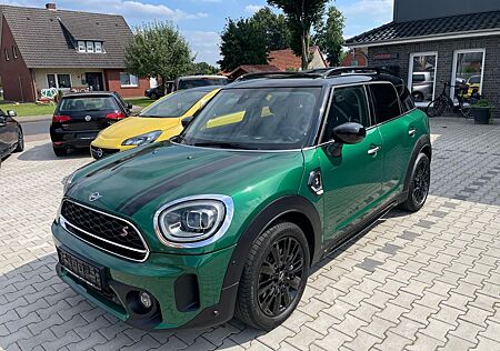 Mini Cooper SD COOPER_SD Countryman Classic Trim