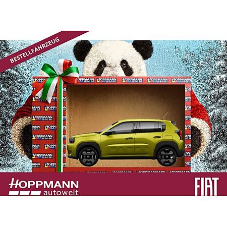 Fiat Grande Panda leasen