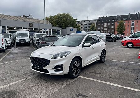 Ford Kuga PHEV ST-Line X, Panoramadach