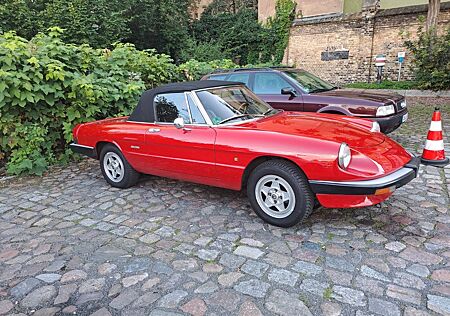 Alfa Romeo Spider 2.0 rot BJ 89 Kat BERLIN