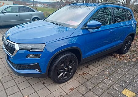 Skoda Karoq 2.0 TDI Selection DSG 4x4 voll, AHK