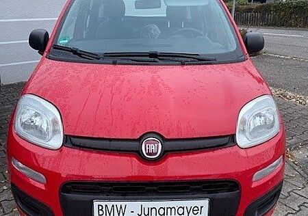 Fiat Panda Easy