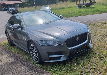 Jaguar XF 30d 300PS R-Sport Automatik