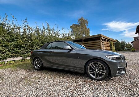 BMW 220i Steptronic Cabrio Sport Line Sport Line