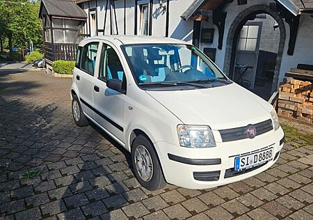 Fiat Panda 169 TÜV neu