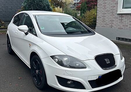 Seat Leon 1.8 gepflegter Zustand mit Gebrauchsspuren