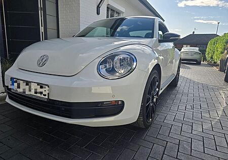 VW Beetle Volkswagen 1.2 TSI - 19 Zoll Alufelgen - 2. Hand