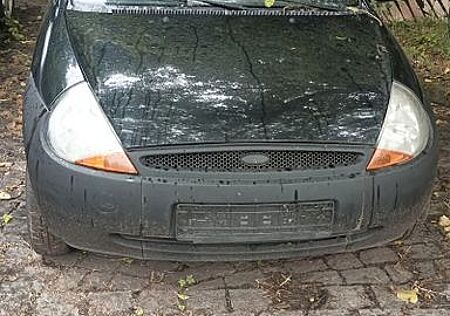 Ford Ka /+ 1,3 44kW -