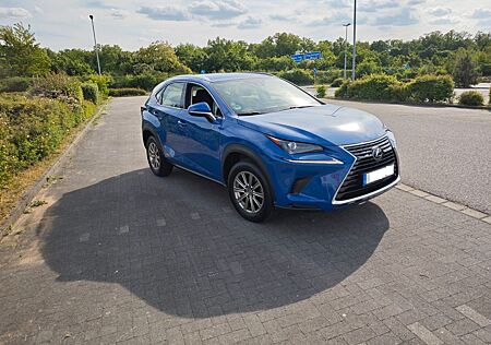 Lexus NX 300 NX 300h Amazing Edition AHK/ACC/VZE/SHZ/LHZ