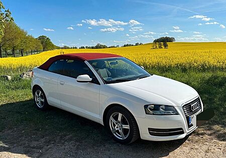 Audi A3 2.0 TDI Ambition Cabriolet Ambition