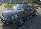 VW Beetle Volkswagen TOP 1.2 TSI BMT SOUND Cabriolet Navi Alu