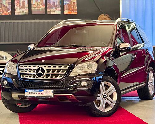 Mercedes-Benz ML 500 Sportpaket Airmatic Kamera BiXenon Memory