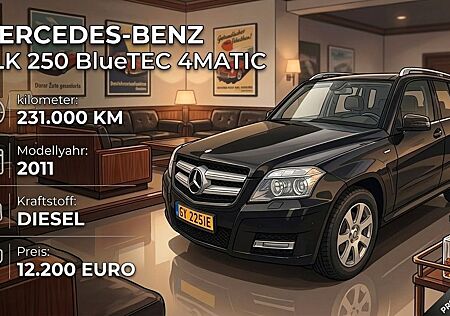 Mercedes-Benz GLK 250 CDI 4MATIC BlueEFFICIENCY -