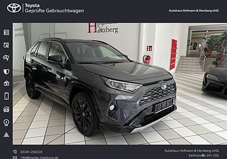 Toyota RAV 4 2.5 4x2 Hybrid Style Selection panoramadac