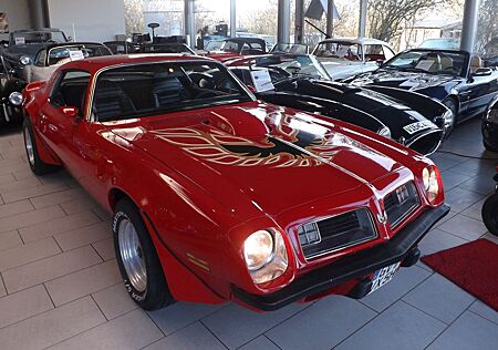 Pontiac Trans Am -garantiert echt und auch gnadenlos gut!