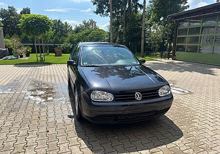 VW Golf Volkswagen 1.6 Basis, Alu, Allwetter, Klima
