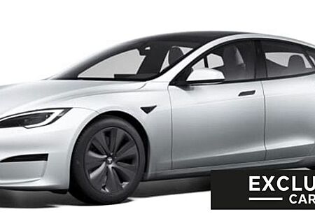 Tesla Model S PALLADIUM MAXIMAL RANGE | PEARL | WOOD |