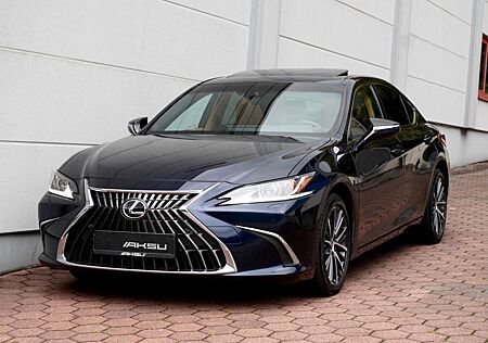 Lexus ES 300 ES 300h Business Line °SHD°LEDER BRAUN°ACC°