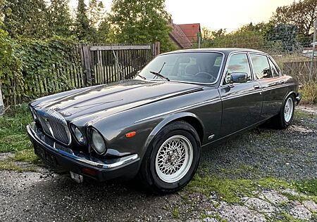 Jaguar XJ Daimler - Double Six