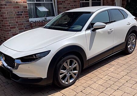 Mazda CX-30 e-SKYACTIV-G M-Hybrid 150 Homura Nav,HUD