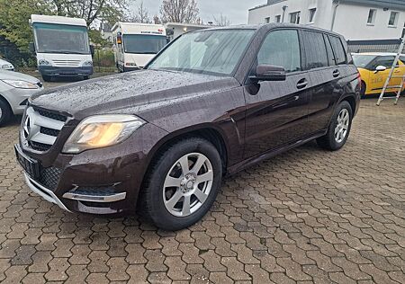 Mercedes-Benz GLK 350 CDI BlueEfficiency 4Matic/Navi/