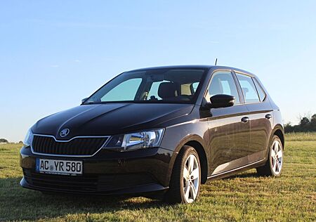 Skoda Fabia 1.0l MPI 44kW Cool Edition TÜV NEU