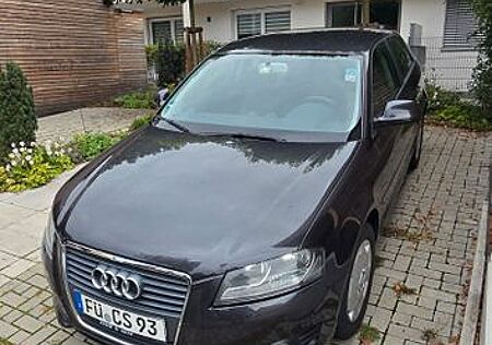 Audi A3 1.6 Ambiente Ambiente