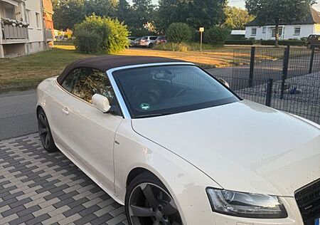 Audi A5 3.0 TDI (DPF) S tronic quattro Cabriolet