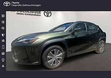 Lexus UX 300 e Executive Pak+Komfort Paket Plus+Winter