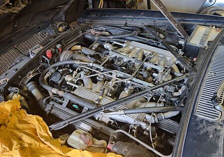 Jaguar XJ12 gebraucht kaufen Jaguar XJ12