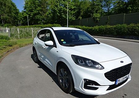 Ford Kuga 2.0 EcoBlue Hybrid ST-Line 5-türig 150 PS