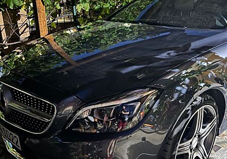 Mercedes-Benz CLS 350 Shooting Brake