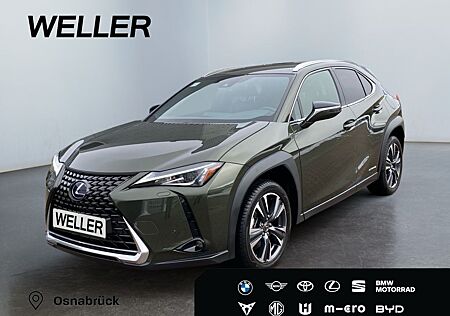 Lexus UX 250h Style Edition *Bi-LED*ACC*CAM*SHZ*CarPla