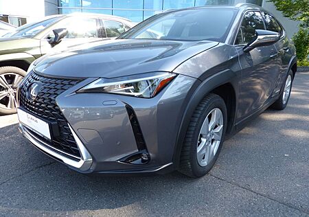 Lexus UX 250h Style Edition