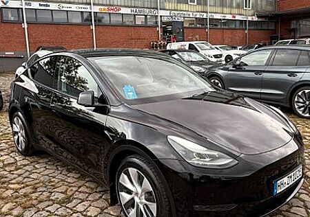Tesla Model Y Longrange Dual-Motor 1.Hand MwSt.