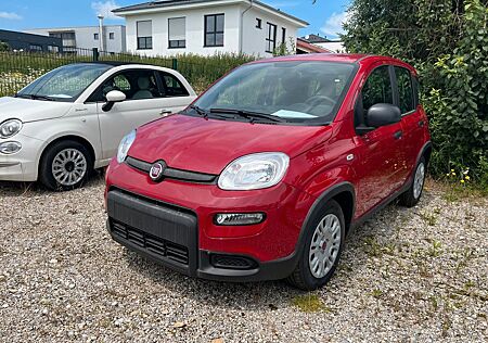 Fiat Panda Hybrid 69PS SOFORT VERFÜGBAR - Klima