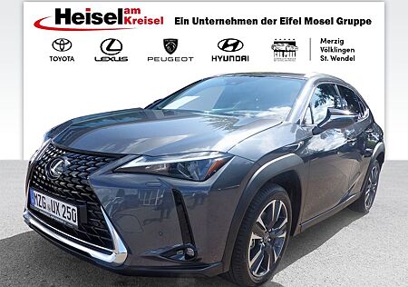 Lexus UX 250h Executive Line/Premium/Head-Up/Schiebeda