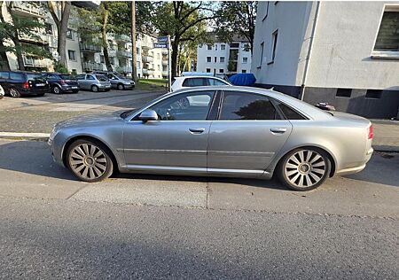 Audi A8 gebraucht kaufen Audi A8 4.2 FSI tiptronic quattro -