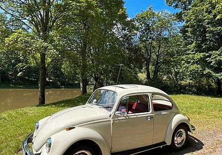 VW Käfer Volkswagen