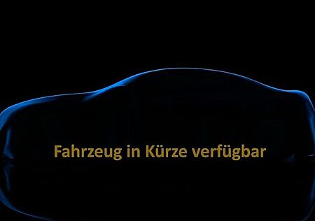 MG ZS EV Luxury Pano Leder Navi Cam