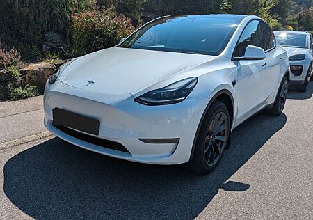 Tesla Model Y Long Range AWD, AHK, 43.500 km