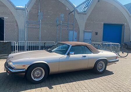Jaguar XJS V12 Cabrio 5.3L Champagner/Braun EL 1988