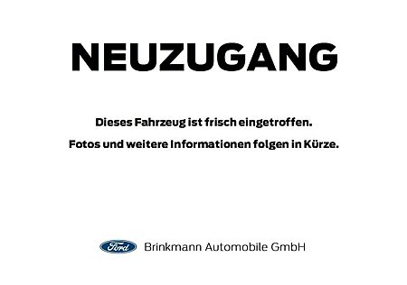 Ford Tourneo Custom 2.0 EcoBlue 320 L1 Titanium +AHK