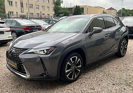 Lexus UX 250h*Leder*Navi*R-Cam*Top