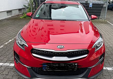 Kia XCeed 1.6 CRDi 48V DCT Vision Vision