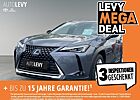 Lexus UX 250h *NAVI*SPURH*PDC*KAMERA