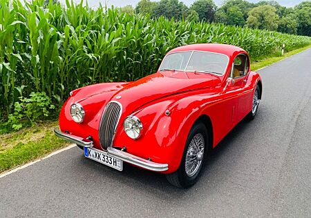 Jaguar XK 120 Coupe / FHC