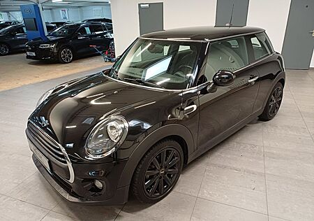 Mini ONE 1.5 Blackyard 3-trg.